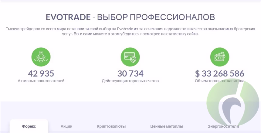 Количество трейдеров в Evotrade